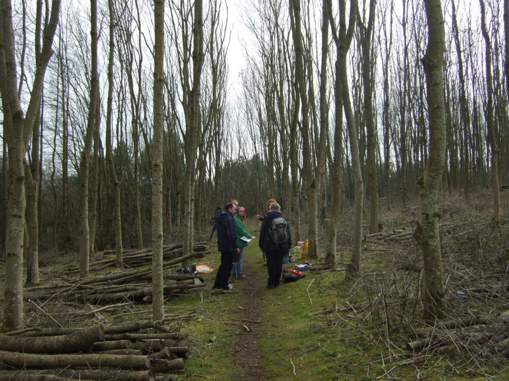Volunteer discussion in Simms Hill Wood