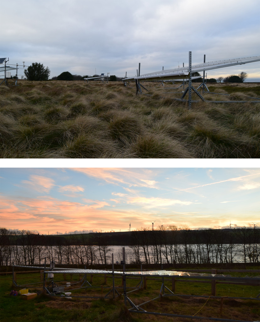 photo 4 and 5 combined