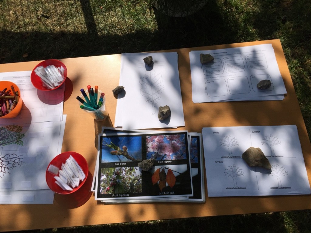 chipping tree measuring day