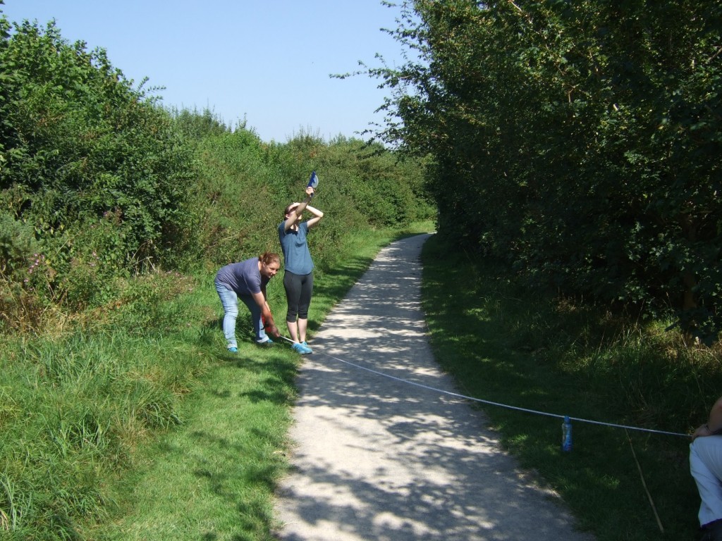 chipping tree measuring day 2