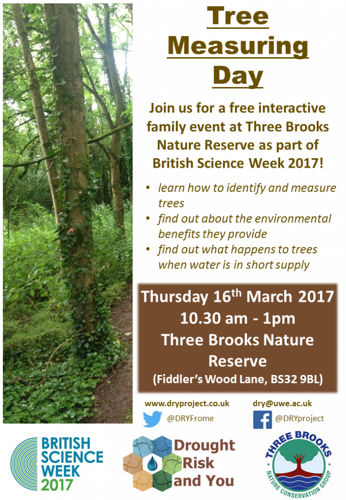 3 Brooks tree day